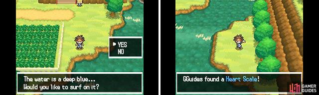 Surf across the water to the south east and then use the Dowsing Machine to find the Heart Scale (right).