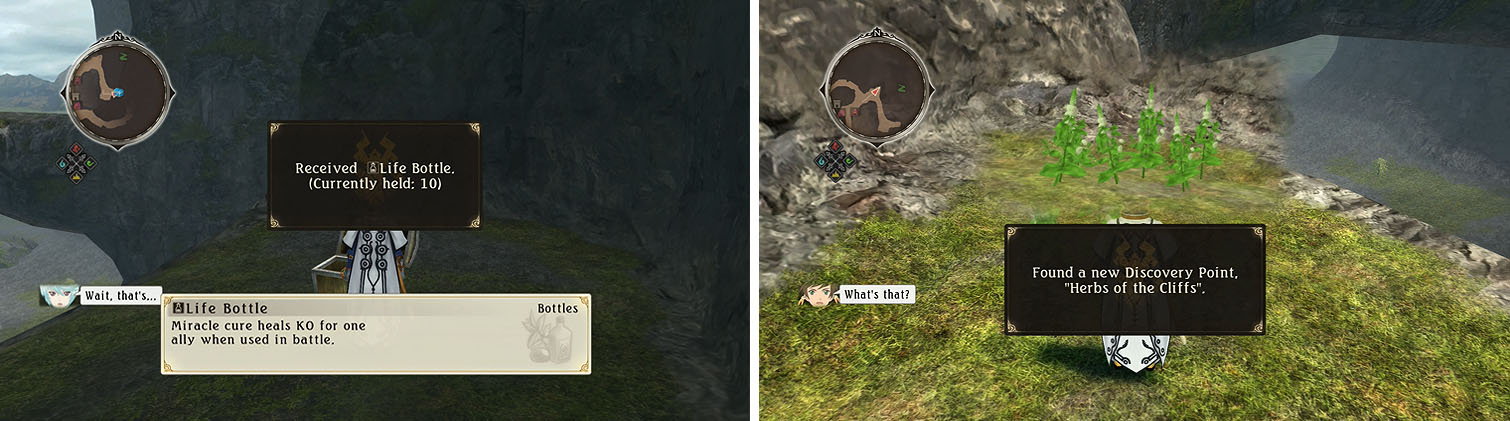 Grab the Life Bottle (left) to the south of the Herbs discovery and skit (right).