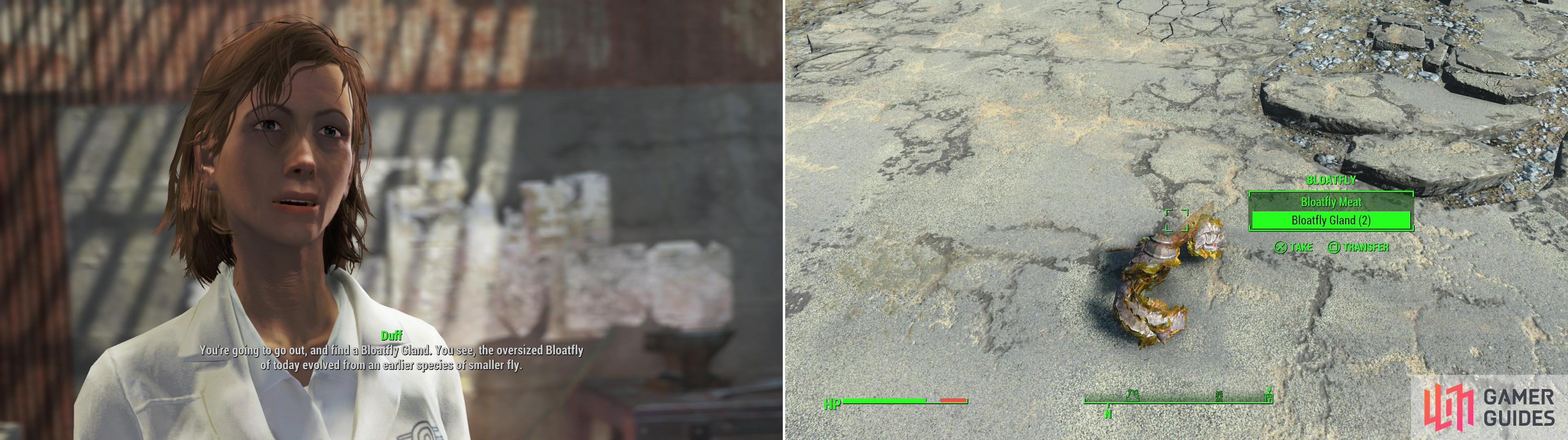 Doctor Duff in Diamond City will delegate the duty of delivering a Bloatfly Gland to her (left). You can find a Bloatfly which is guaranteed to drop such a gland outside of the Poseiden Energy Turbine #18-F area (right).