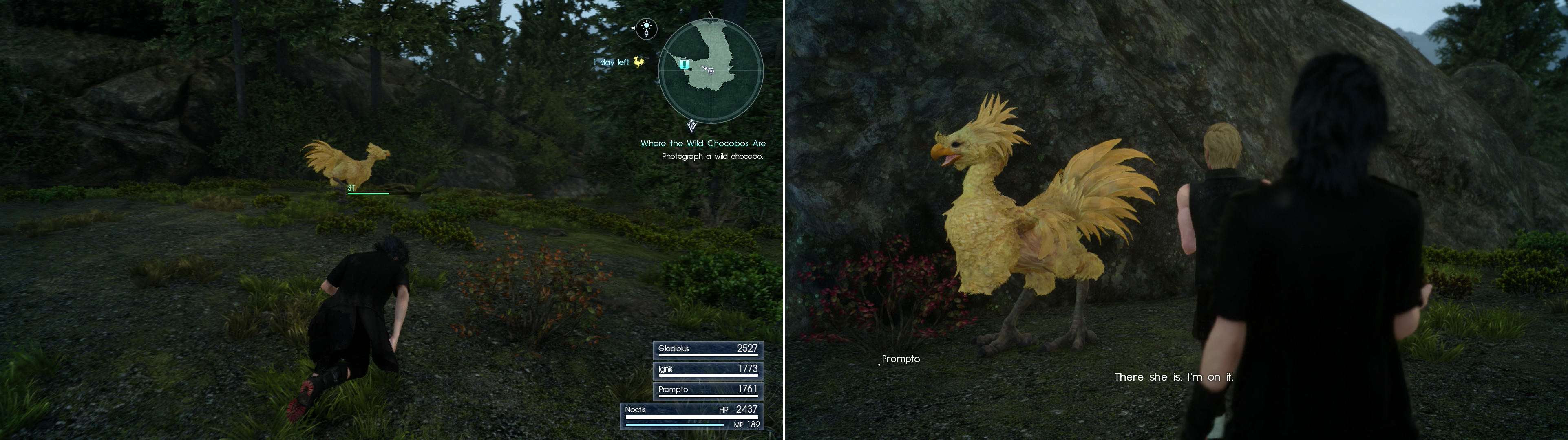 Chase down the wild Chocobo for Wiz (left) so Prompto can take its picture (right).