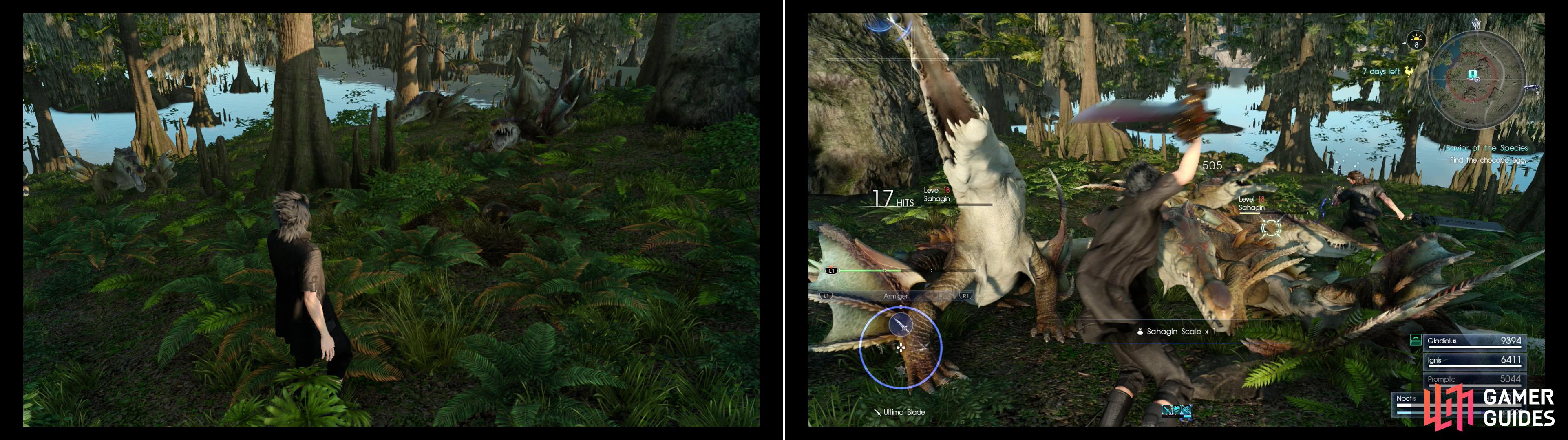 Fine the Black Chocobo Egg to discover that some other, hungry predators want the egg (left). Teach the Sahagin their place in the food chain and protect the egg (right).