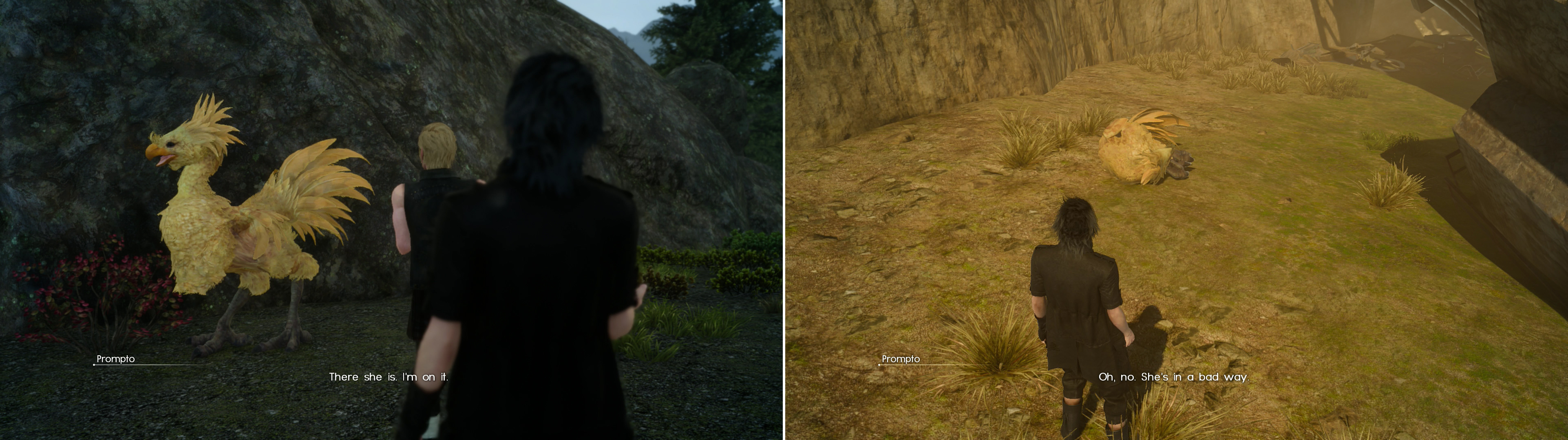 After proving yourself against Deadeye, Wiz will give you quests ranging from photographic wild Chocobos (left) to snatching injured birds out of the jaws of predators (right).