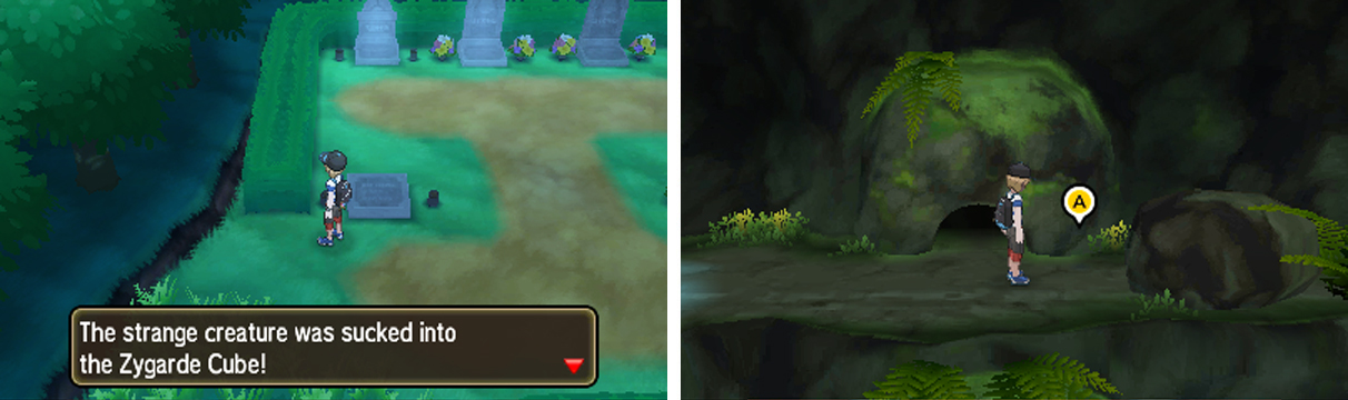 Left: Zygarde Cell (9), Right: Zygarde Cell (10)