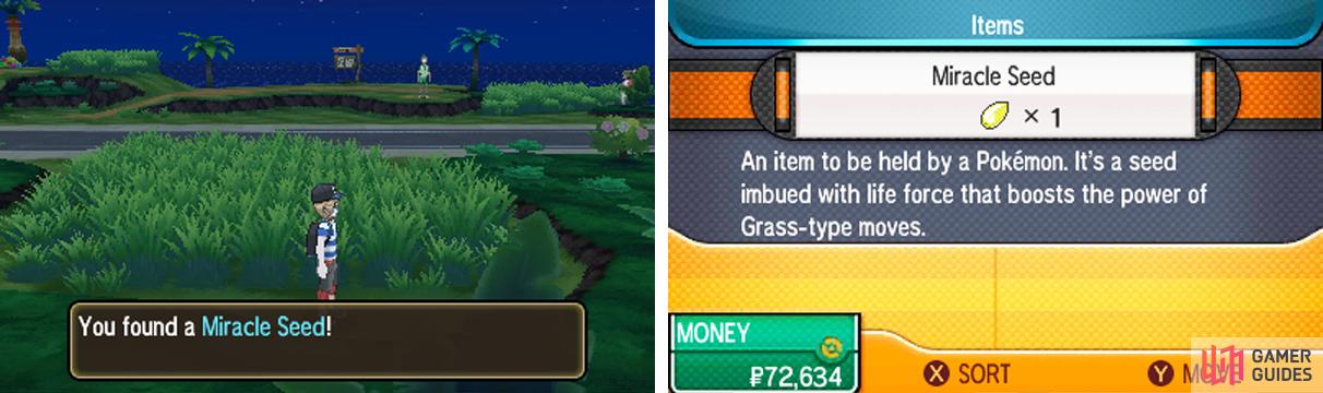 Useful for Grass-types before you get Grassium Z.