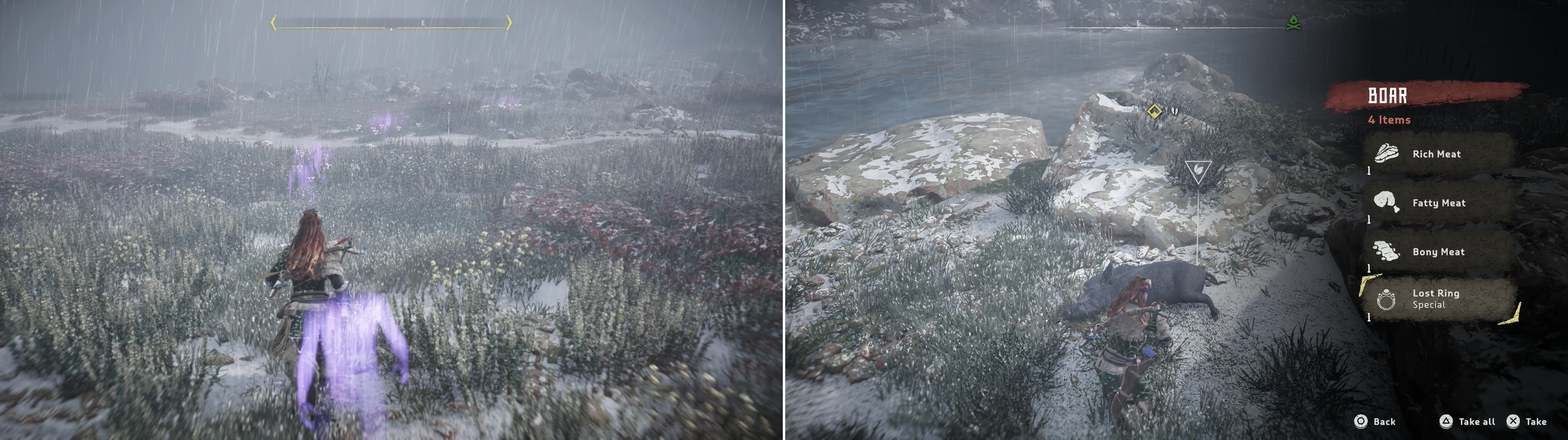 Track Taim’s past movements (left) to find a dead Boar, inside of which youll find Taim’s Lost Ring (right).