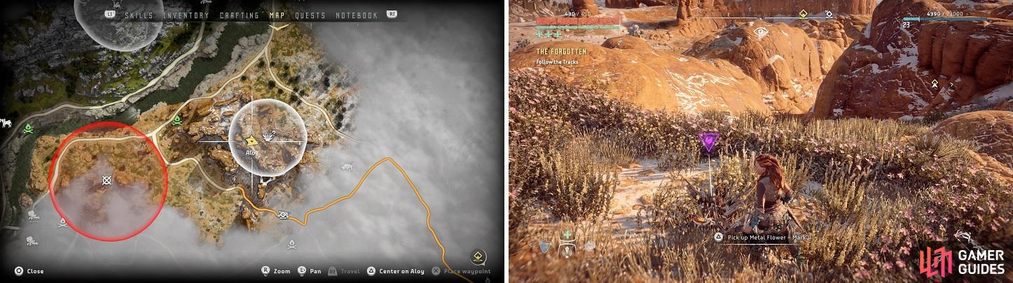 The location of Metal Flower - Mark II (F) on your map (left) and in the game (right).