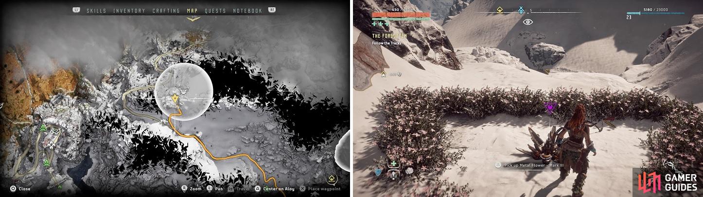 The location of Metal Flower - Mark III (C) on your map (left) and in the game (right).