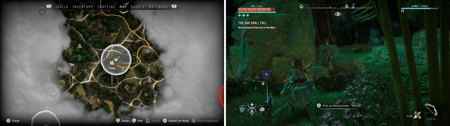 The location of Metal Flower - Mark III (F) on your map (left) and in the game (right).