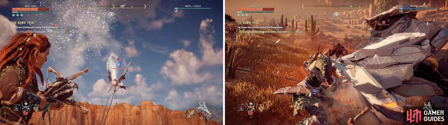 Glinthawks are annoyingly difficult to hit with the Ropecaster when flying (left). You’ll have to wait a few seconds before you can use a Critical Hit on them (right).