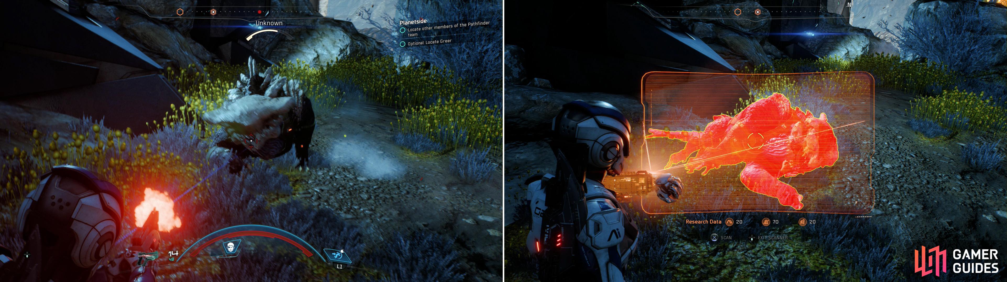 Be wary of a cloaked quadruped (left) which will attempt to ambush you. After it’s dead, be sure to scan it (right) for a great deal of Heleus Research Data.