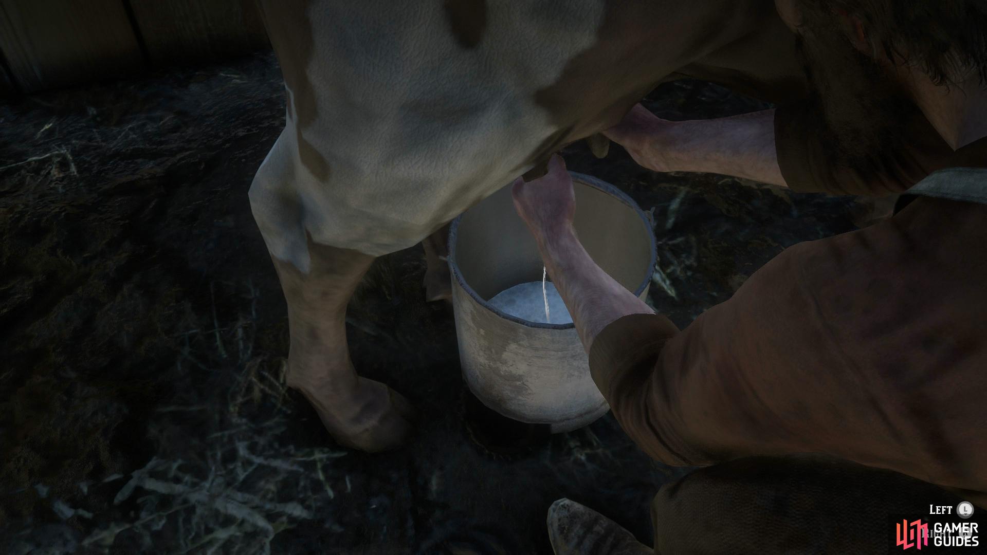 Opt for milking the cow when given a choice of chores.