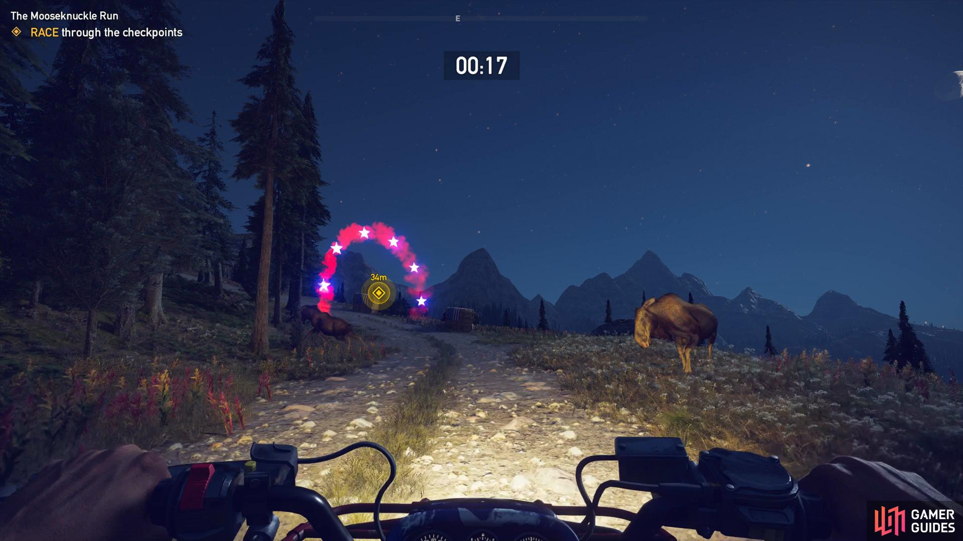 Watch out for the moose on the track near the end, swerve to the left to avoid it.