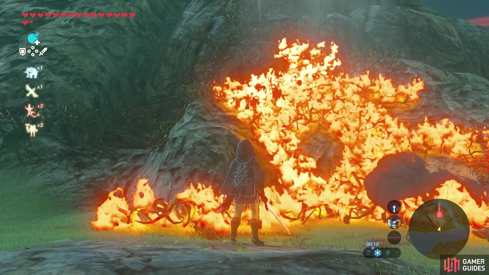 Burn the vines so you can reach the cave entrance. 