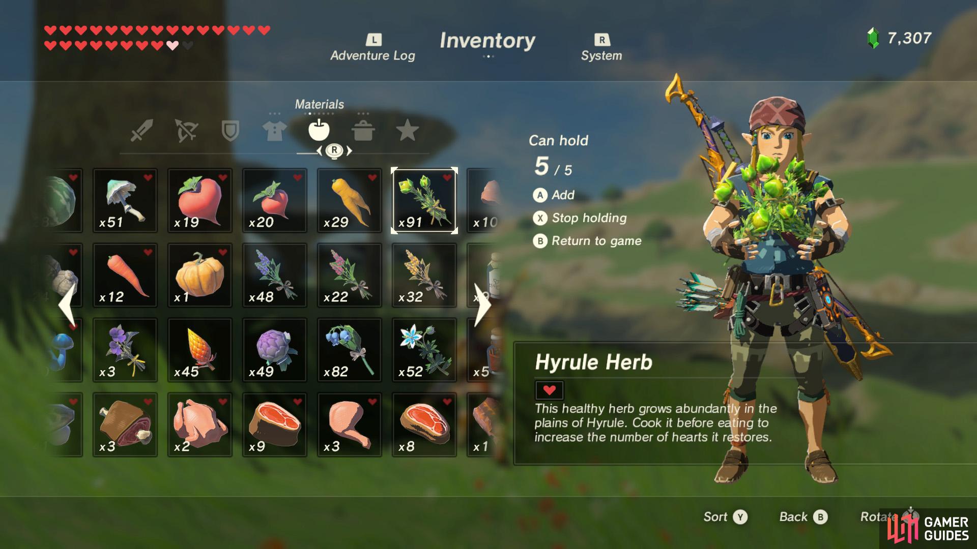 The Hyrule Herb is about as common as you can get, but sometimes you can’t be a fussy eater.