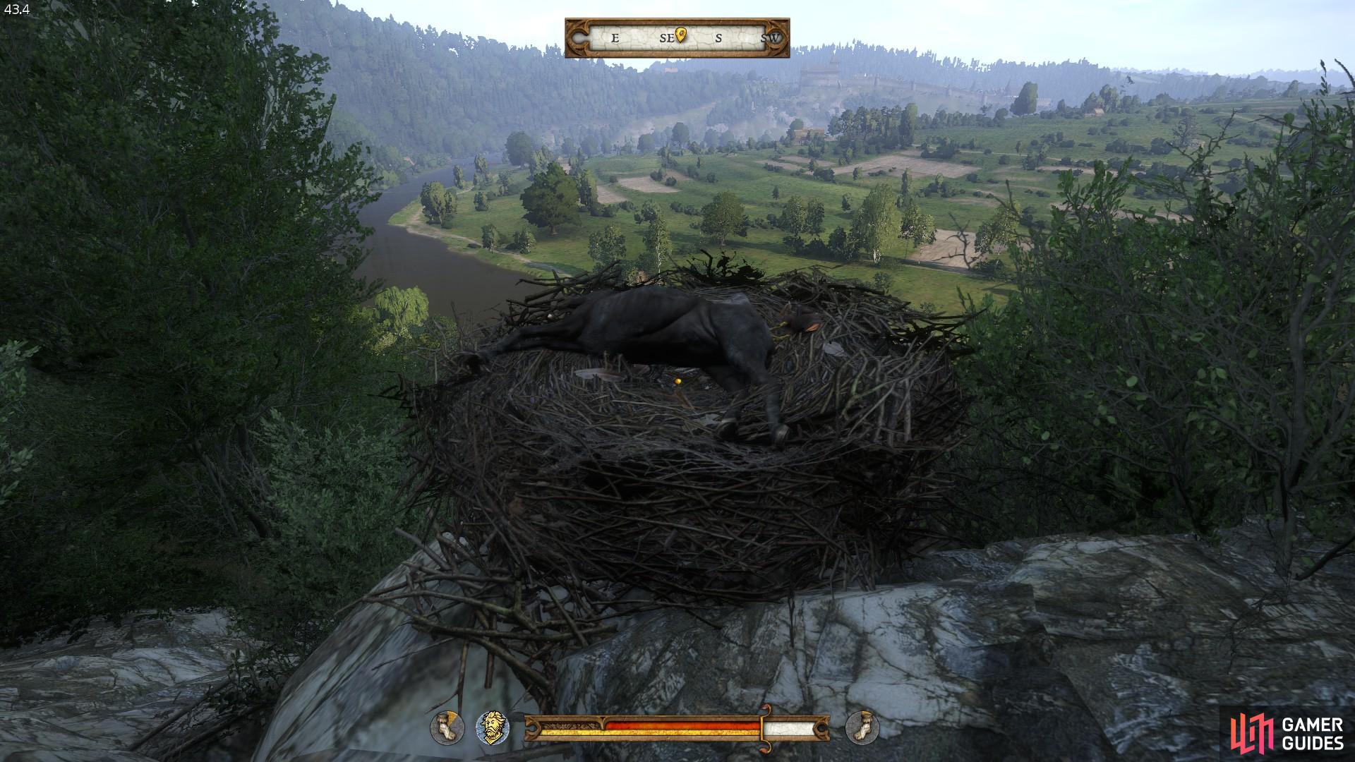 View from the location of the nest with the horse corpse within.
