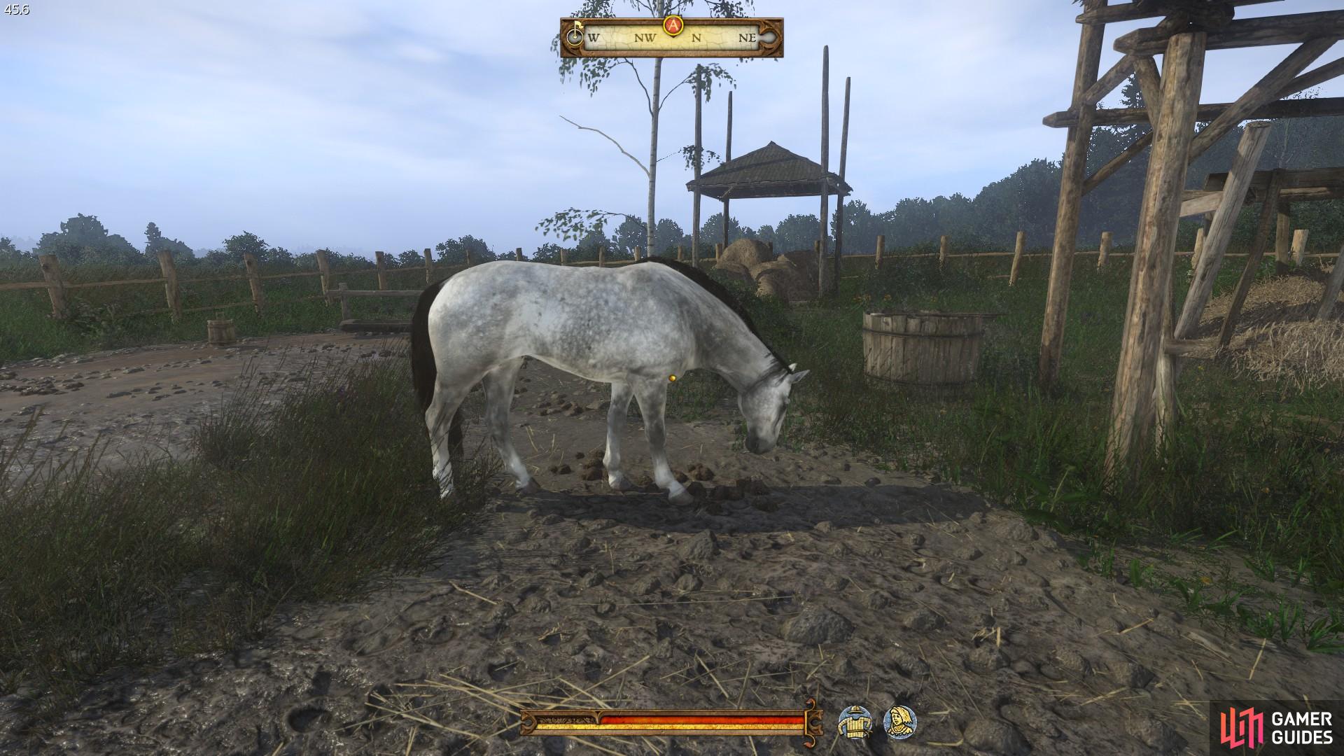 Once you have found a horse, be sure to inspect it to determine its suitability for Miller Woyzeck. Simply choose one with decent enough stats and certainly do not steal any named horses; you may want to buy one later in the game.