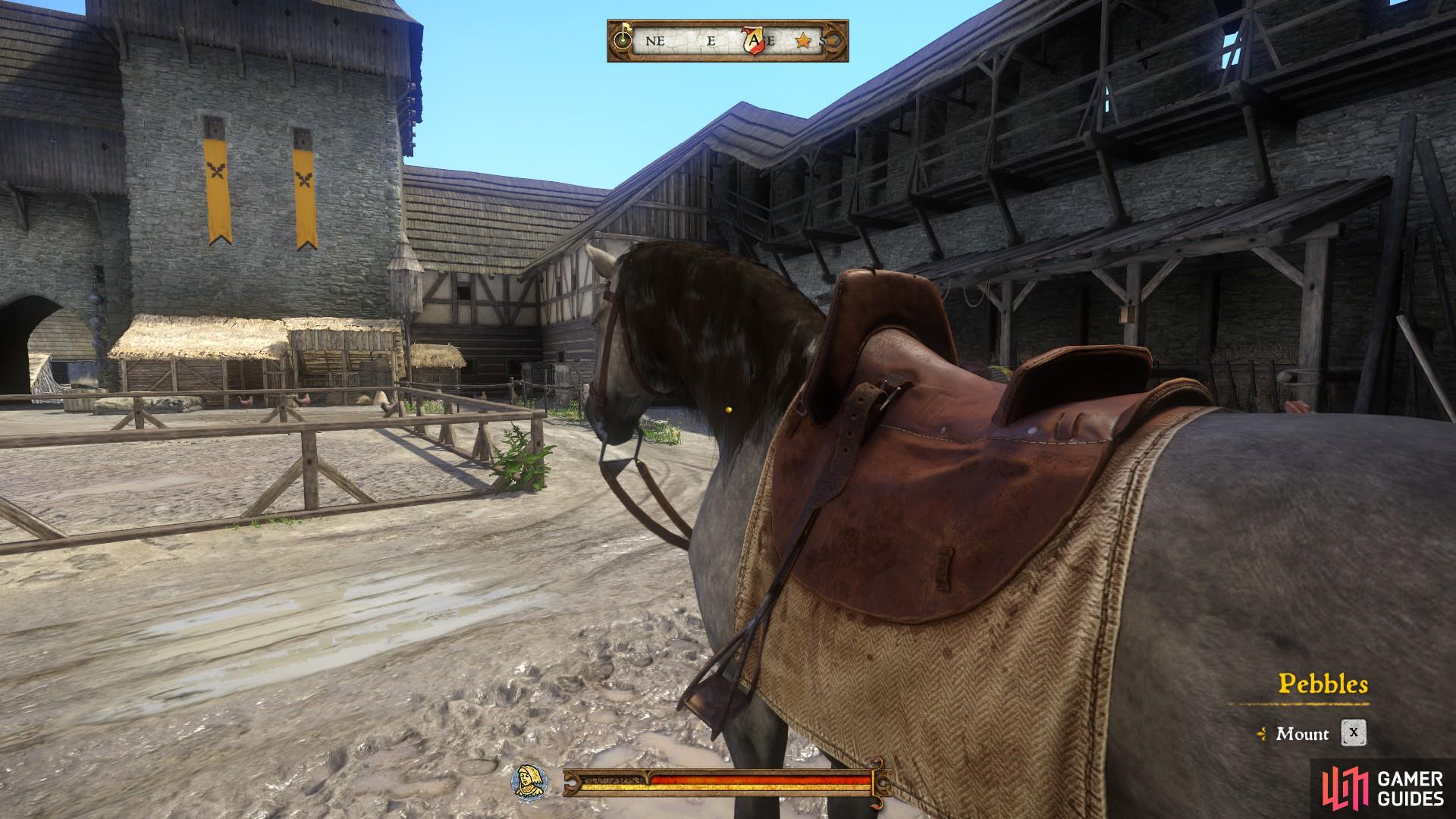 Mount Pebbles, your new horse, and ride to Neuhof.