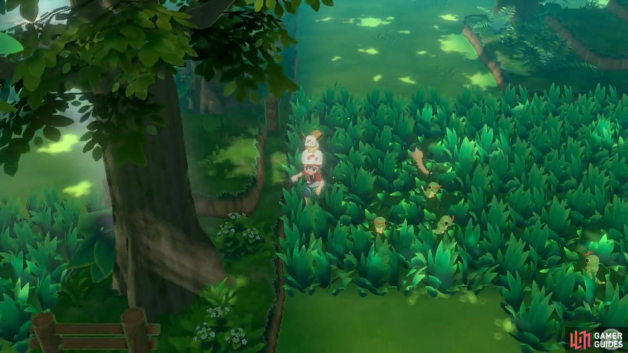 Pokémon aren’t restricted to tall grass, but they do typically spawn from there.