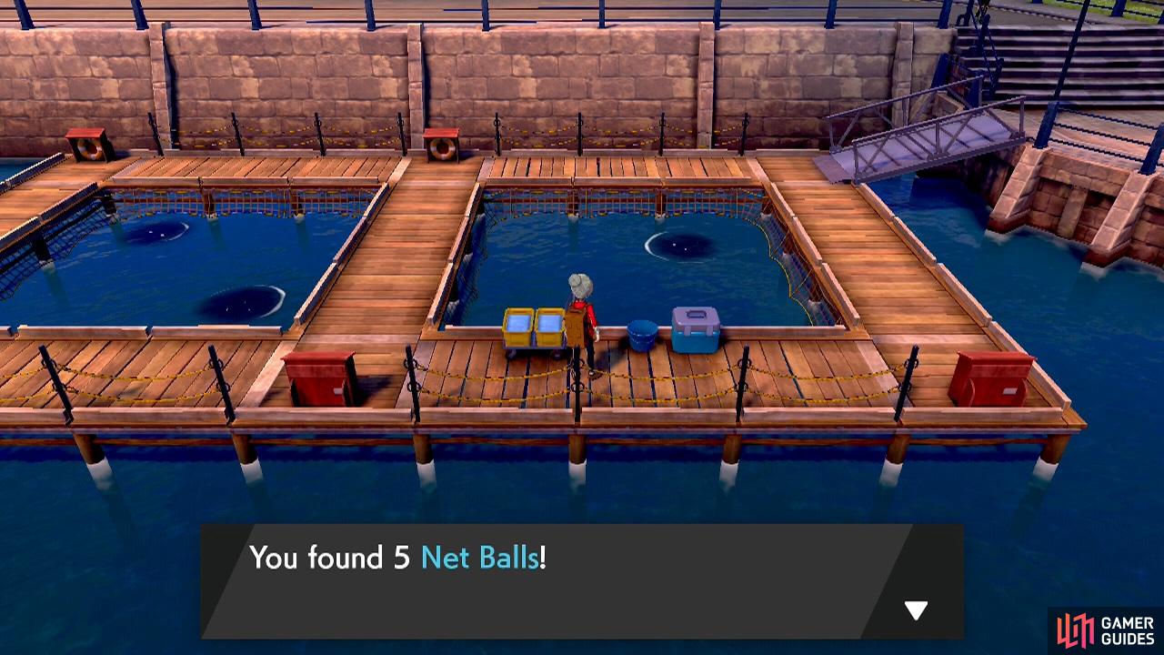 Net Balls are great for catching Water and Bug-type Pokémon.