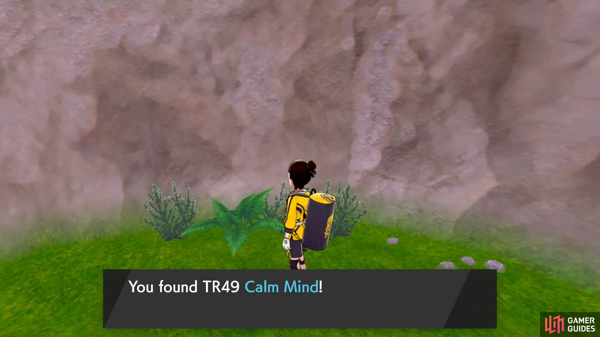 Calm Mind is a potent status move that boosts the user’s Special Attack and Defense stats.
