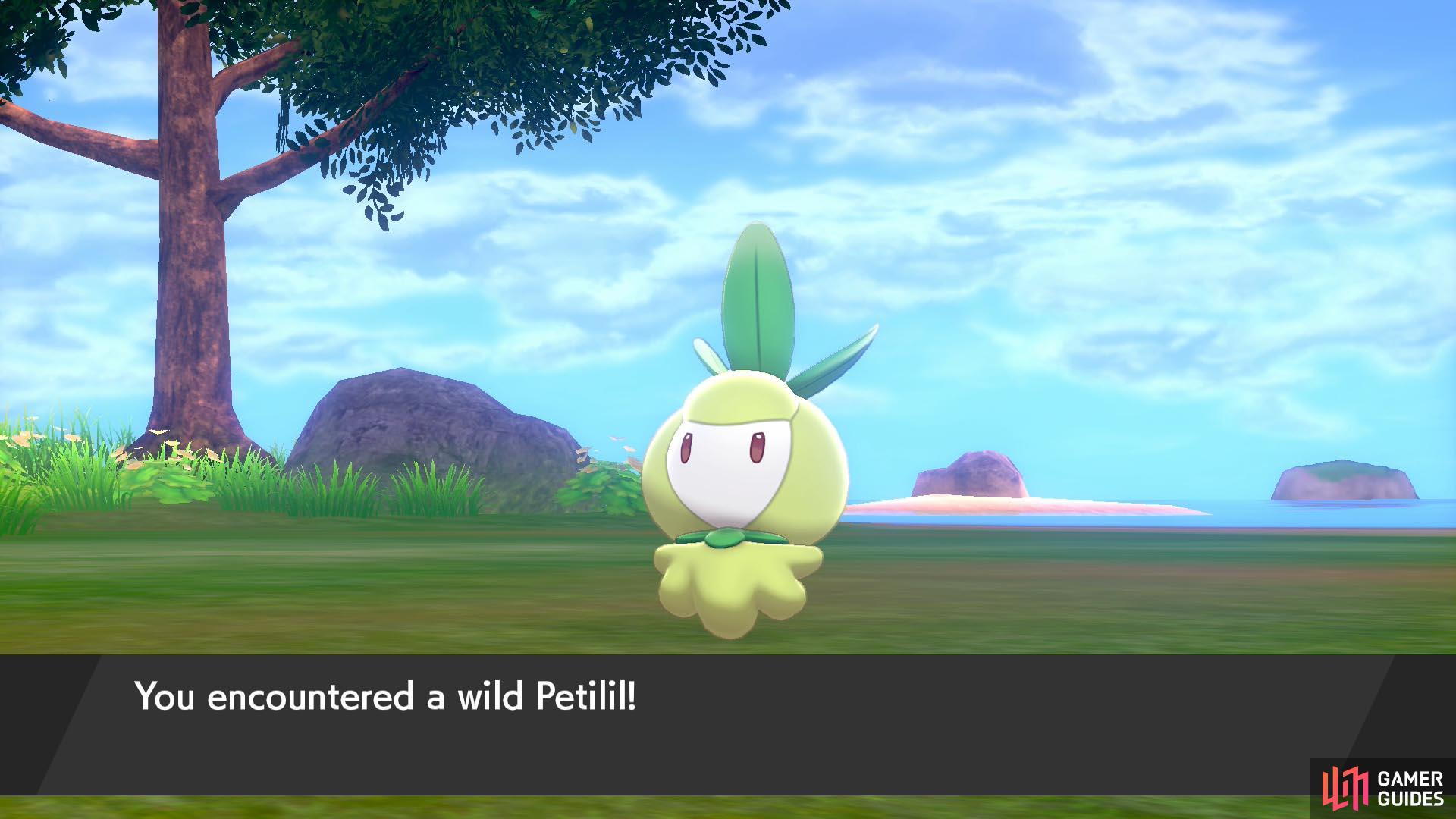 There’s not much lurking inside the tall grass, but at least Petilil is an adorable sight.