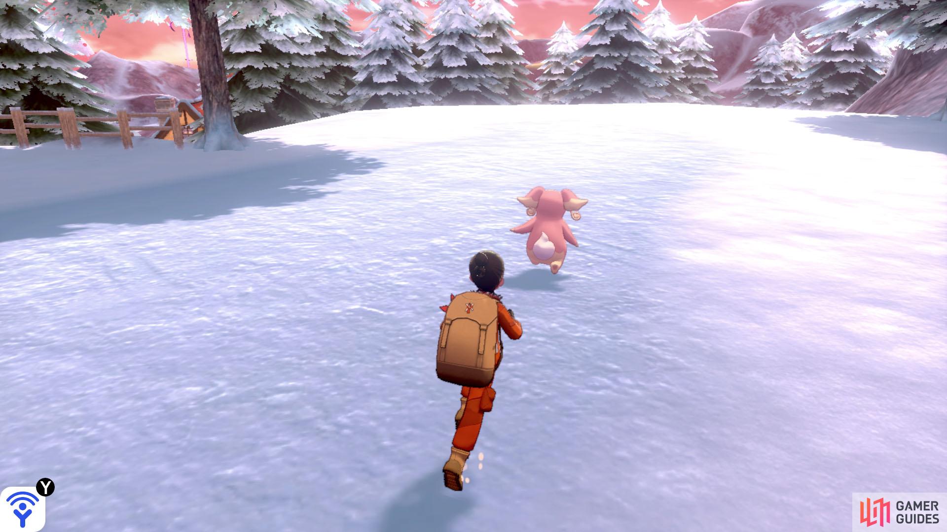 Audino will try to run away when spotted.