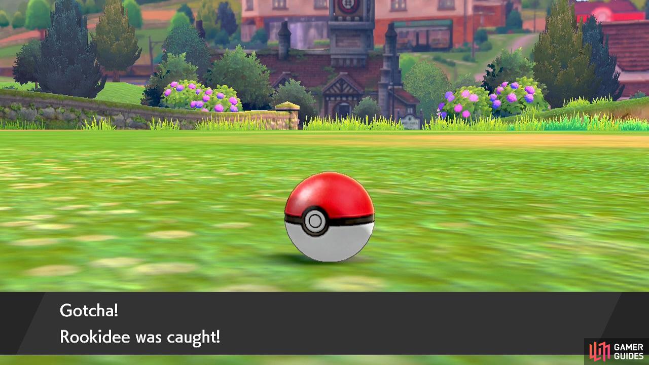 After catching a Pokémon, you can give them a cool or silly nickname.