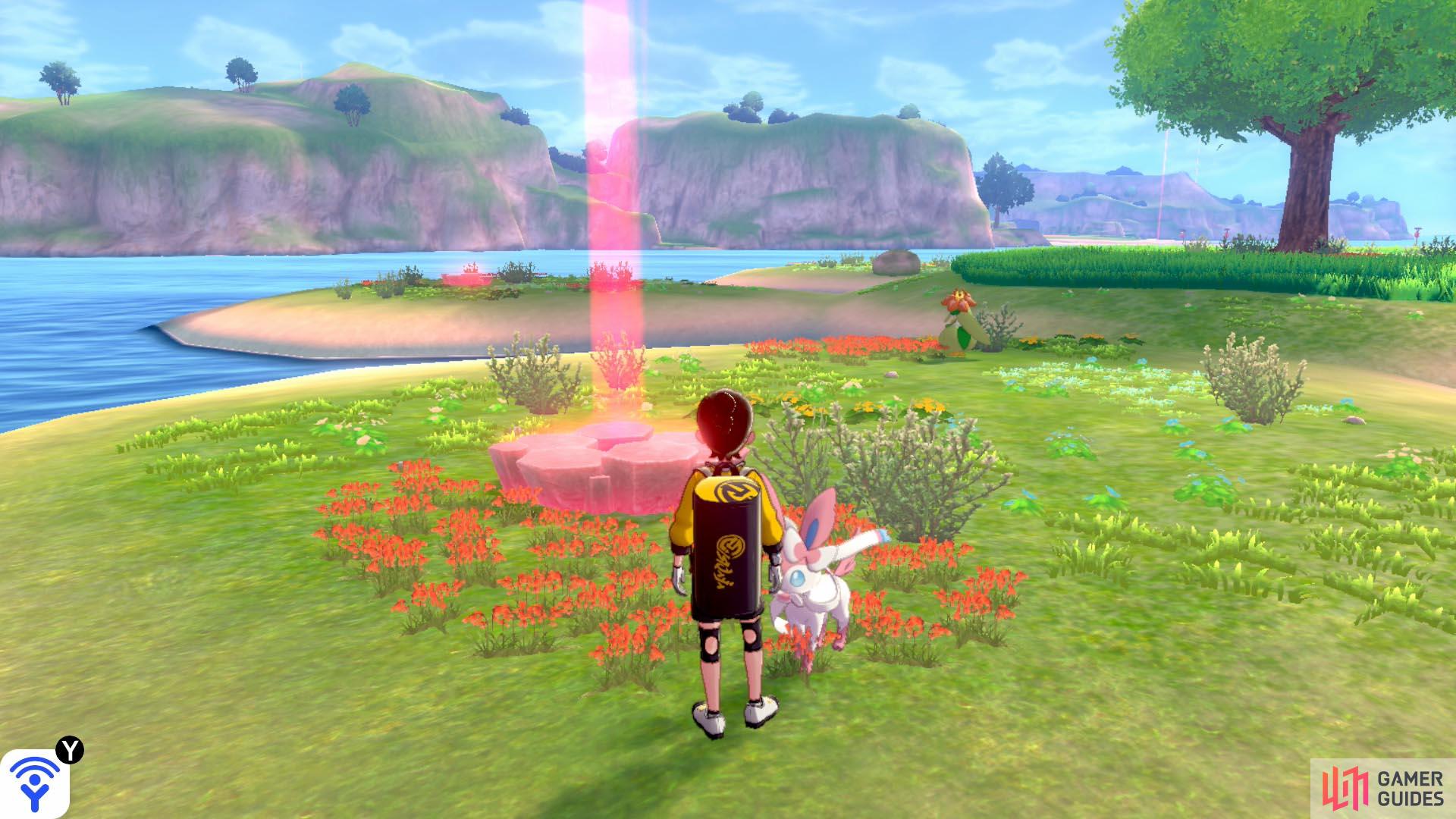 There are six dens, each located on one of the “petals” of the island. All dens feature the same list of Pokémon.