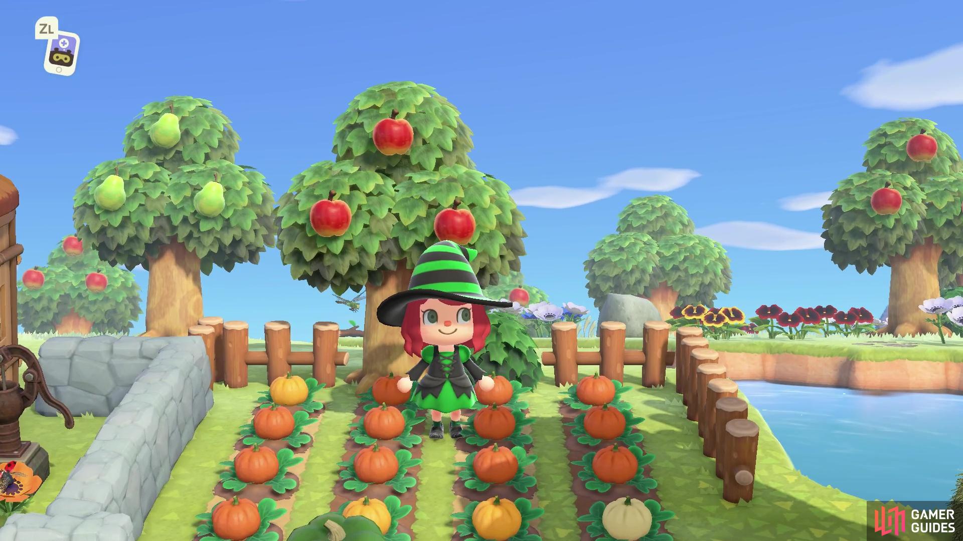 It’s time to plant some pumpkins ahead of Halloween!
