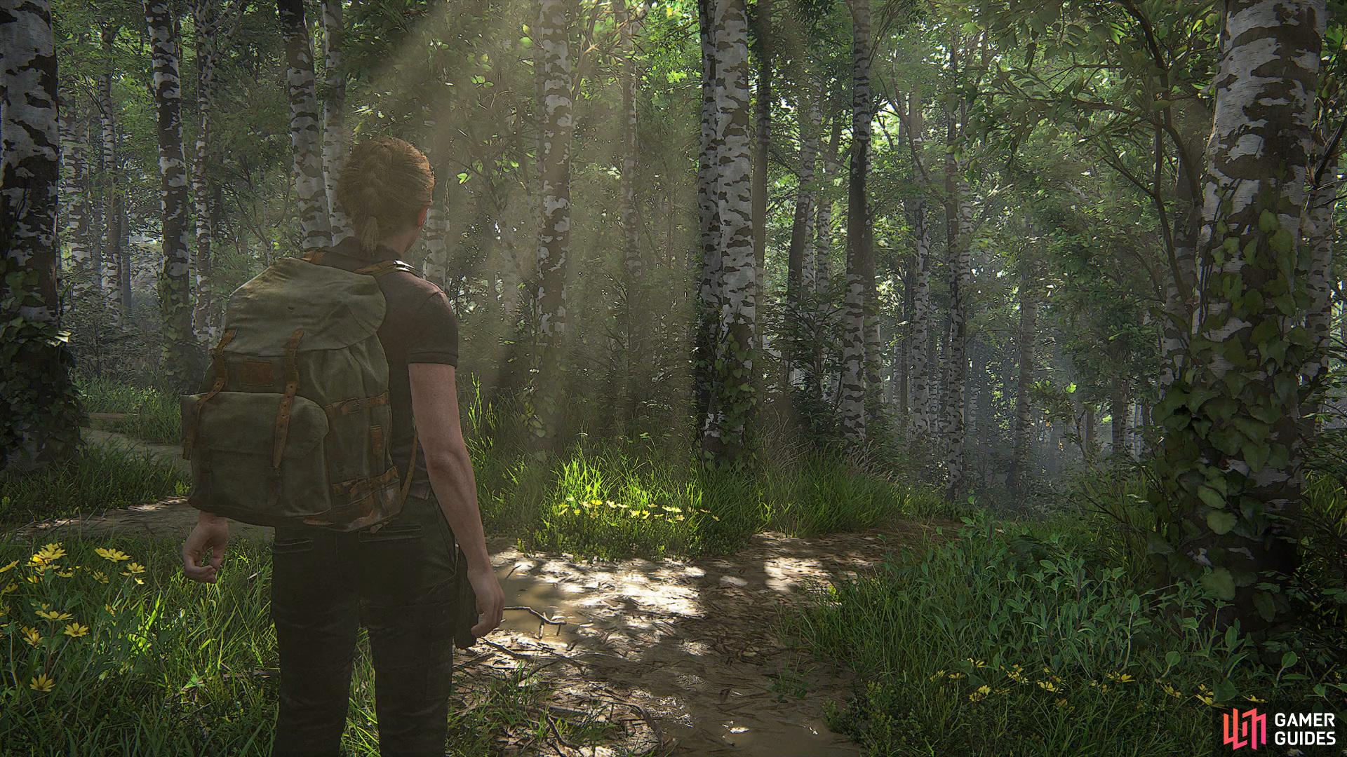 The Last of Us Part II Screenshot