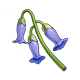 Violetgrass_Gardening_Materials_Genshin_Impact.png