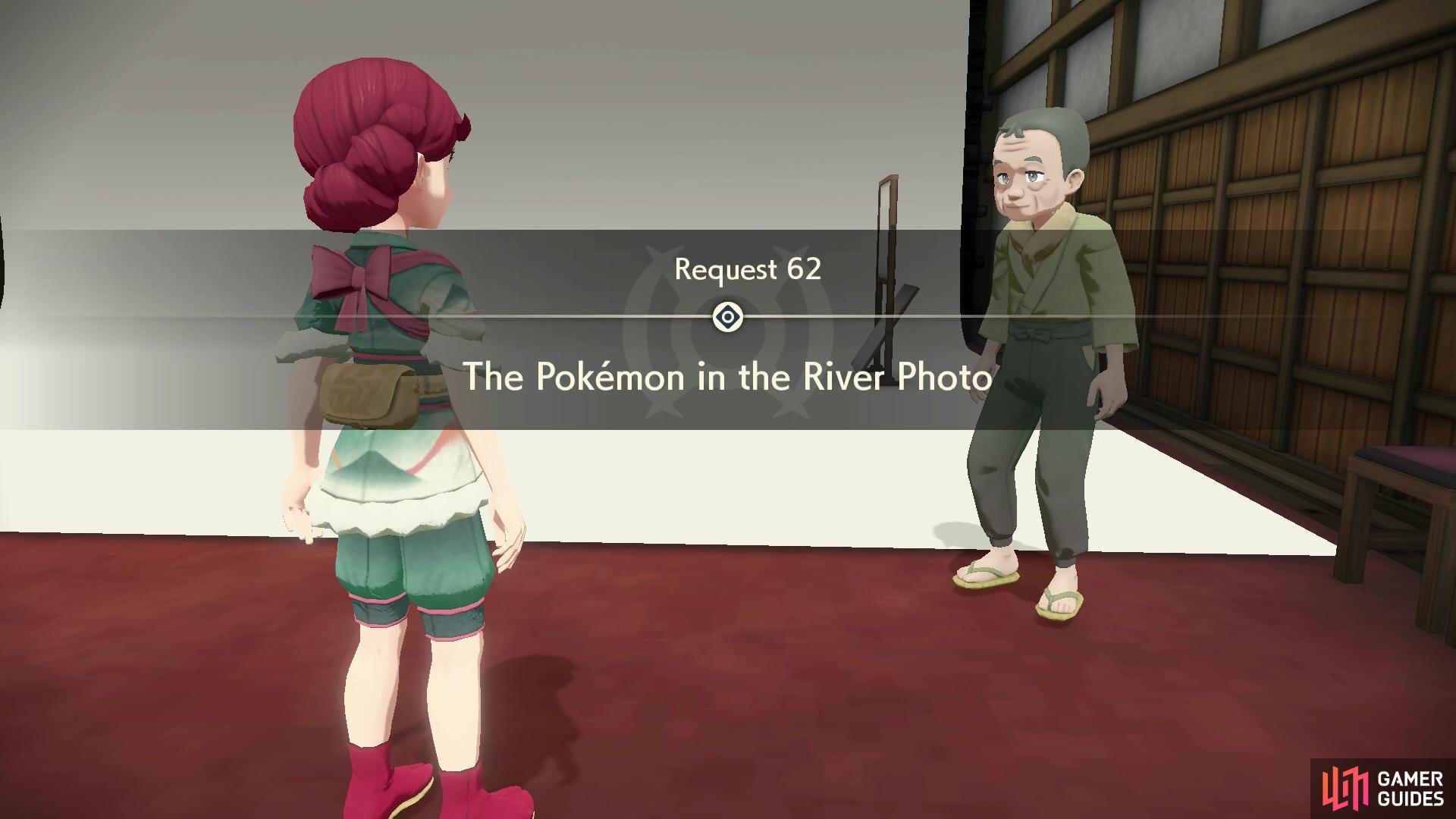 Request 62: The Pokémon in the River Photo.
