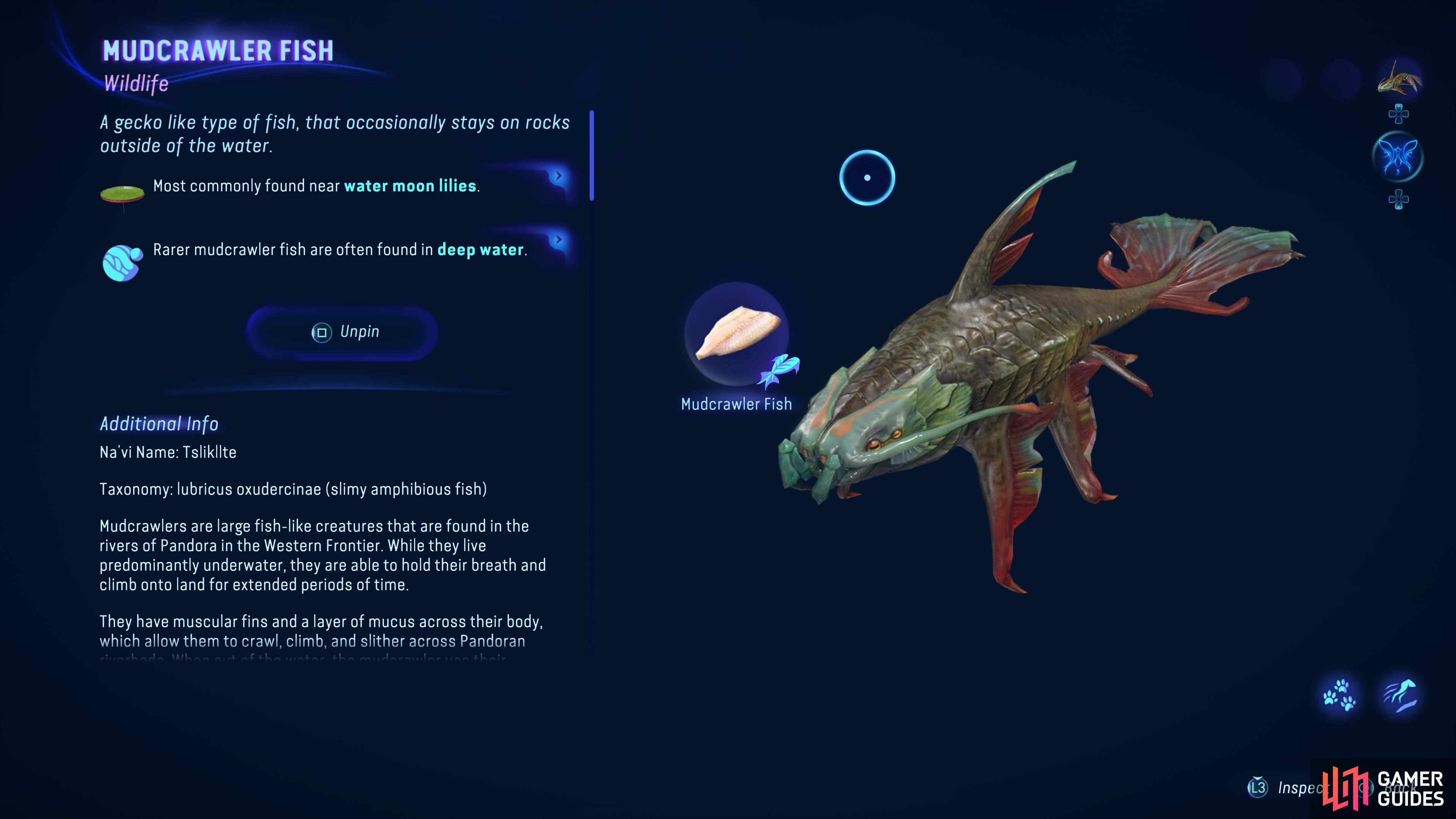 The Mudcrawler is one of many types of fish you can find in the game.