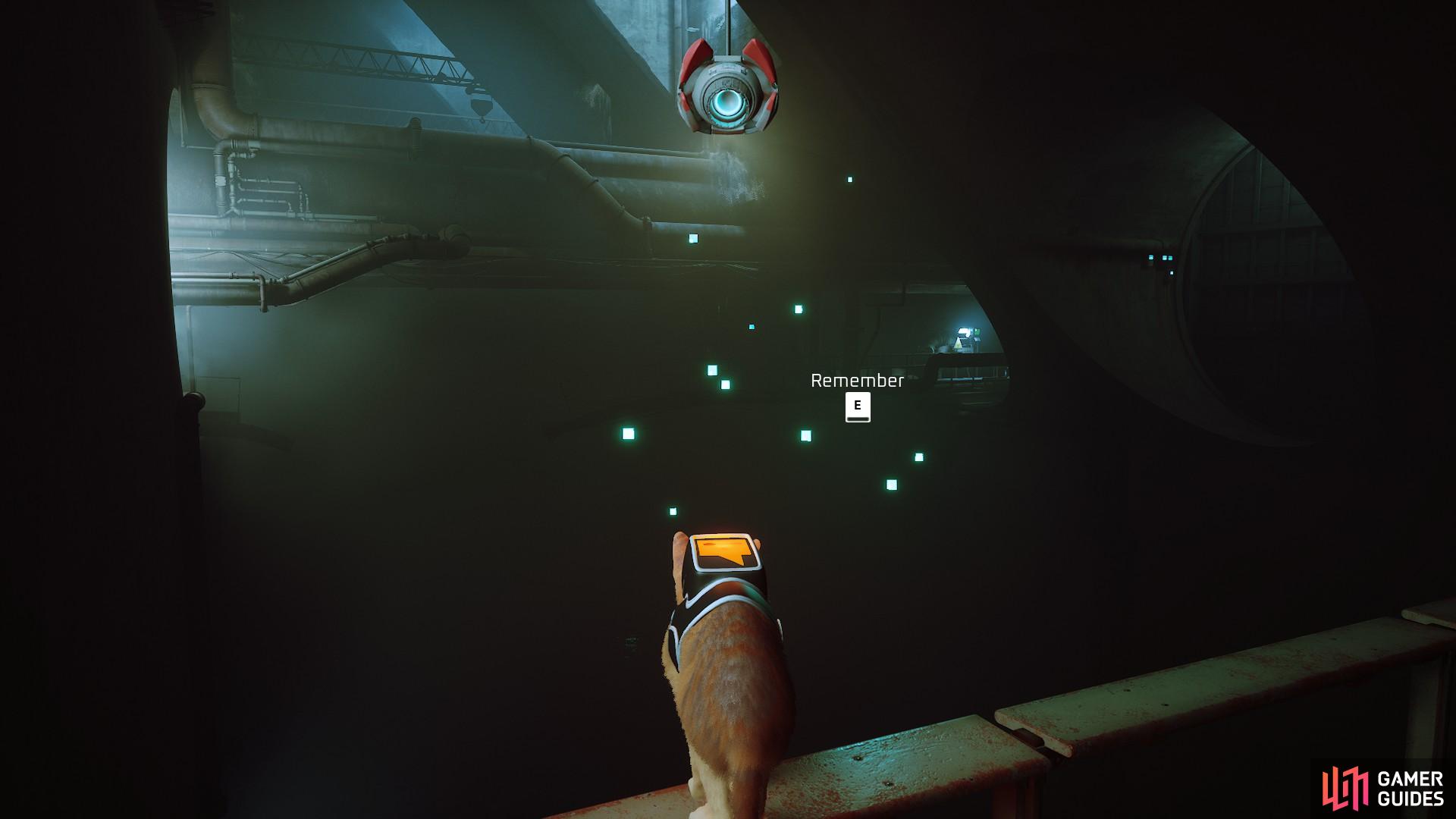 Once you’re through the tunnel, jump on the ledge and get the first memory of the Sewers level.