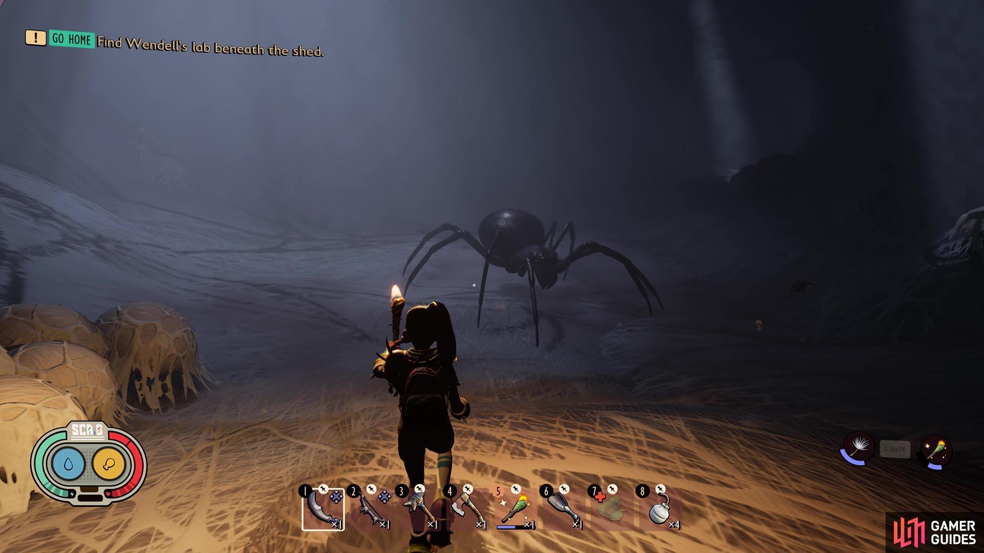 Here is what the lair looks like in the Undershed black widow location.