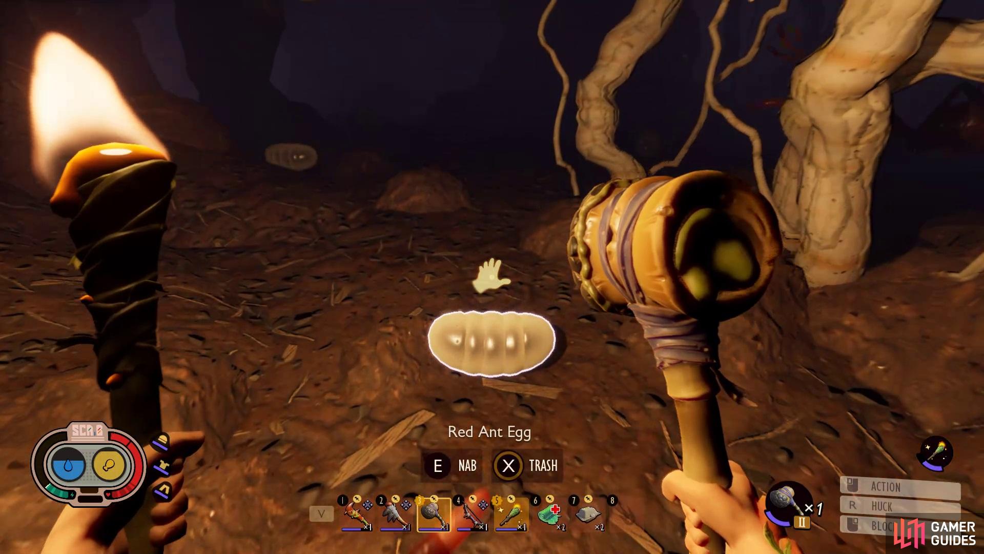 Head into the Red Anthill to find eggs!
