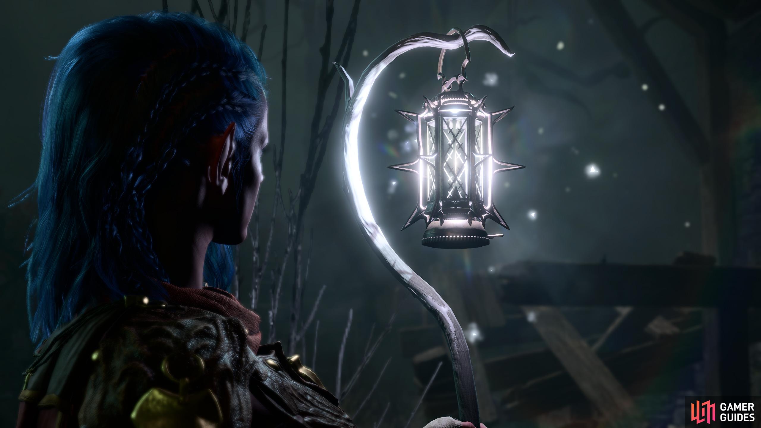 You’ll be presented with the choice to free the Pixie when you obtain the Moonlantern.