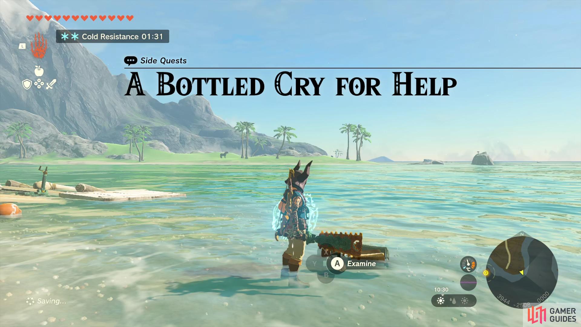 A Bottled Cry for Help can be started at Hateno Bay in East Necluda.