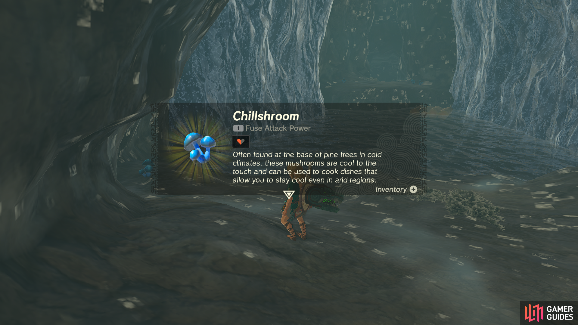 Gathering Chillshroom in Tears of The Kingdom.