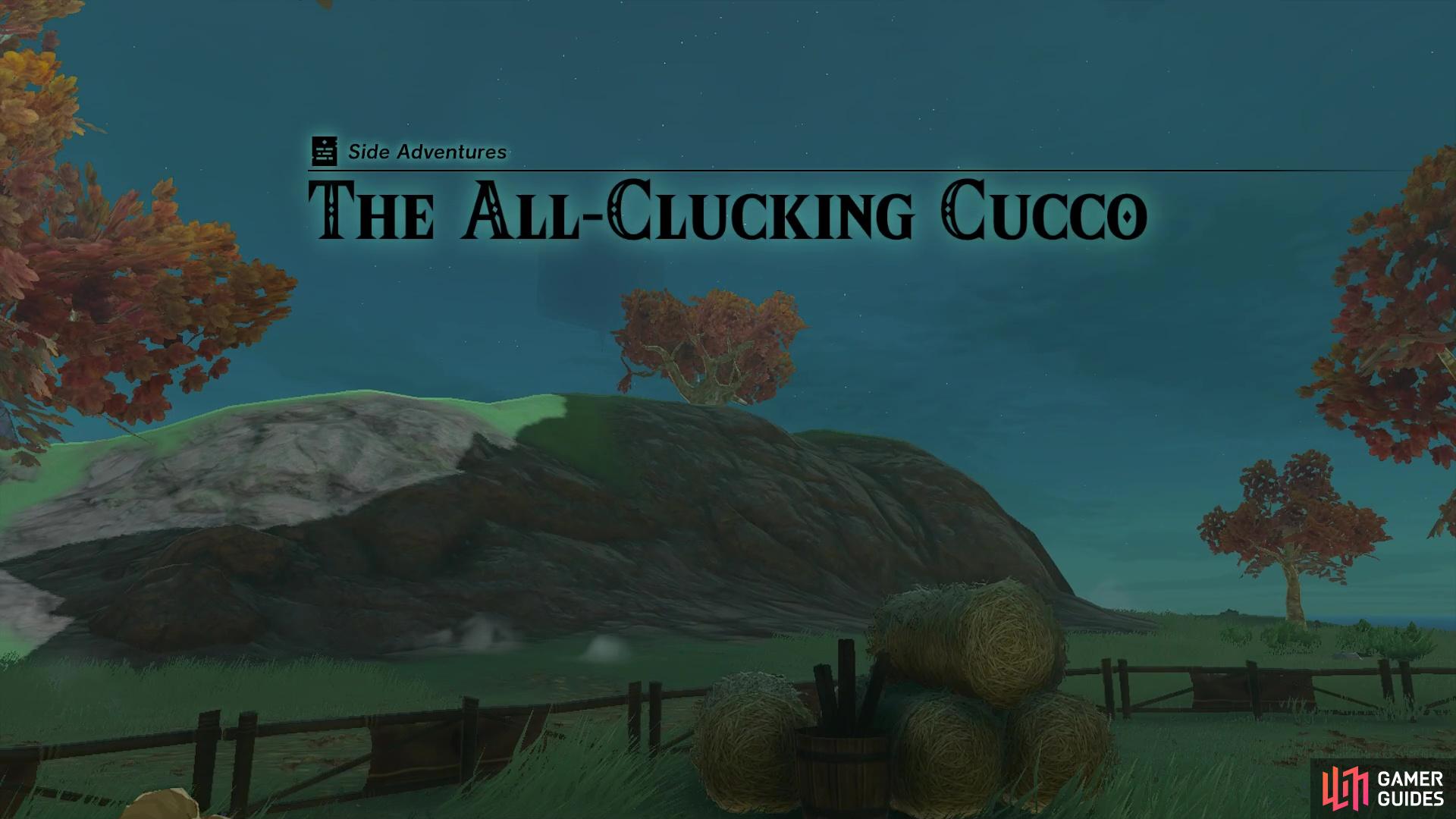 The All-Clucking Cucco Side Adventure.