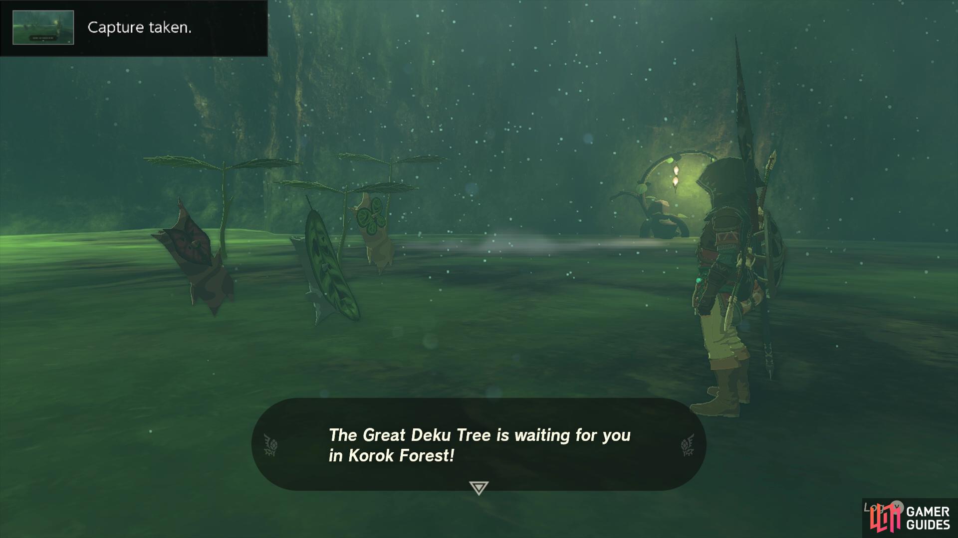 To obtain information about the Master Sword, you’ll need to save the Great Deku Tree first!