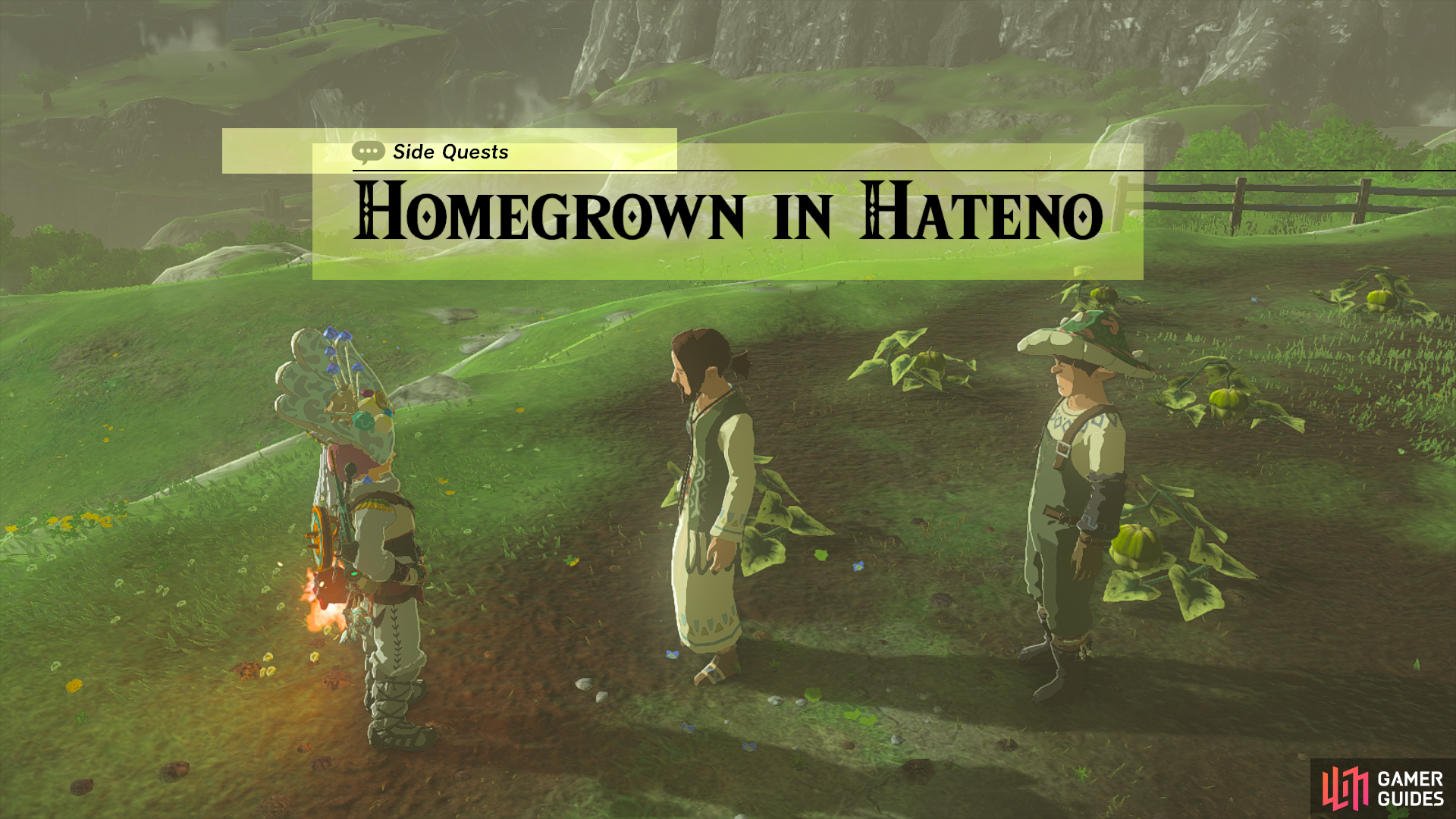 Starting the Homegrown in Hateno side quest.