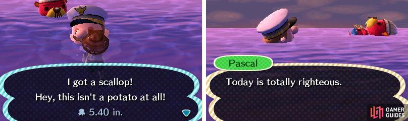 Pascal’s a chill kind of fella.
