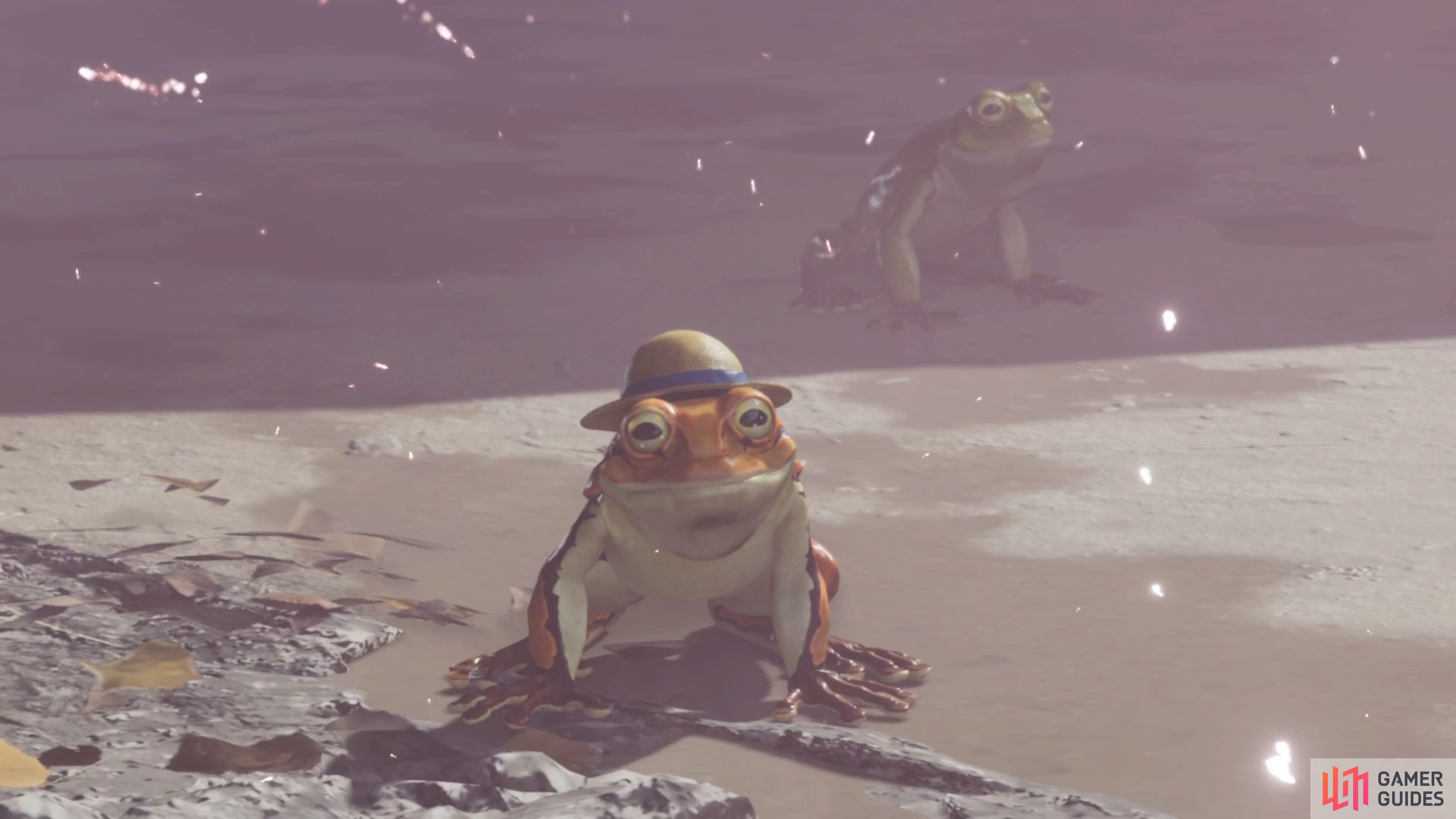 Calling All Frogs is a quest that becomes available during Chapter 4.