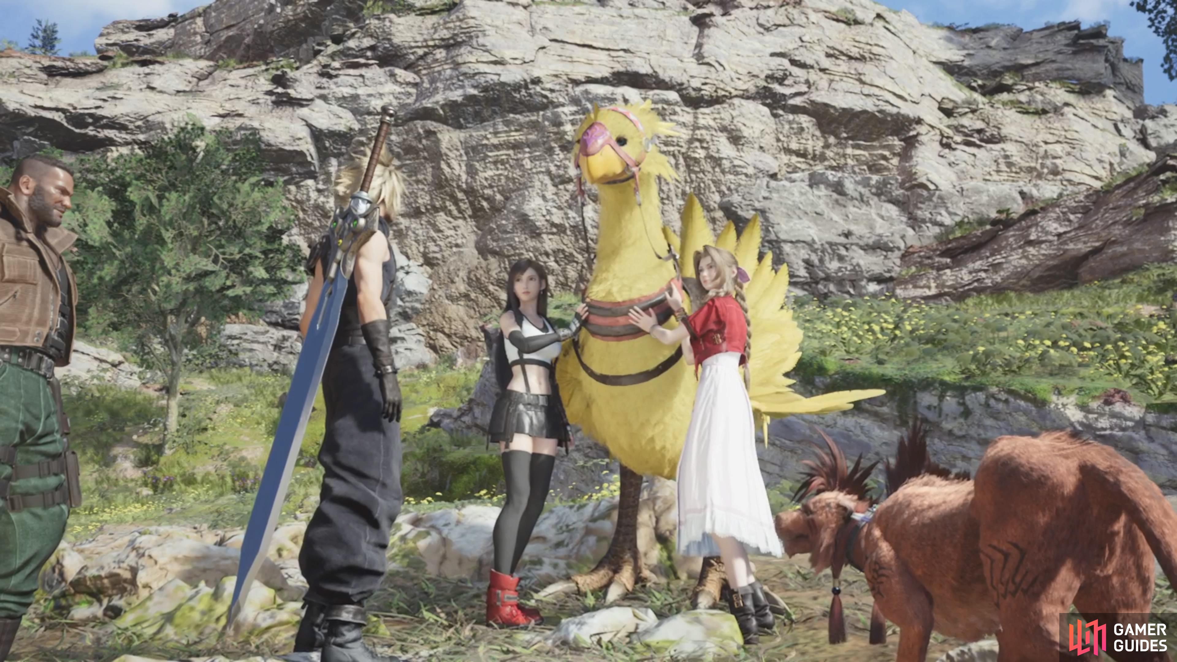 Piko will become your Chocobo in the Grasslands region.