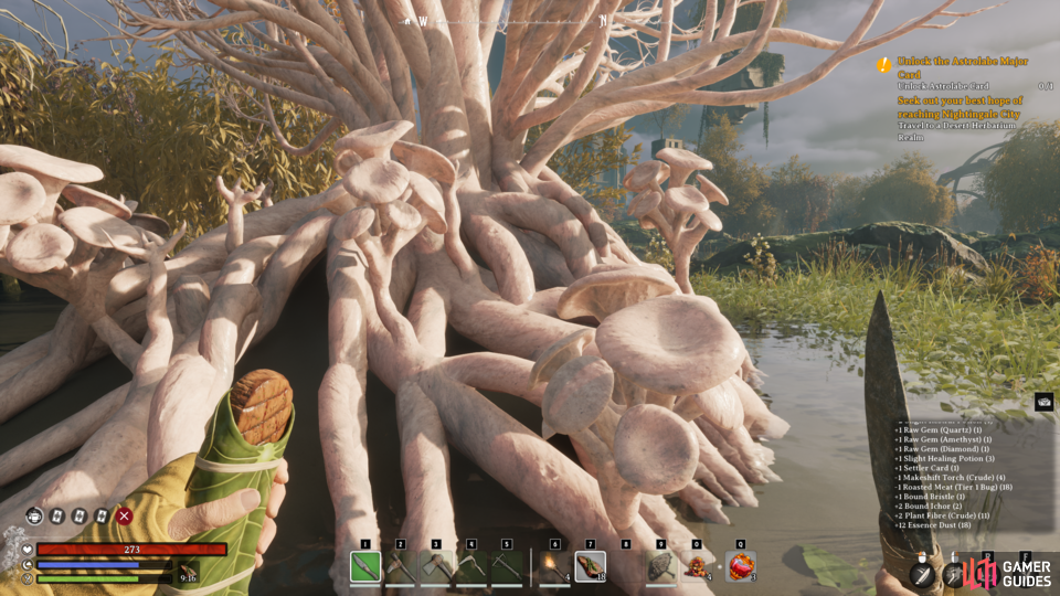 Abalonite is actually mined from these fungi/tree-like structures, which can only be mined with a level 230+ pickaxe.