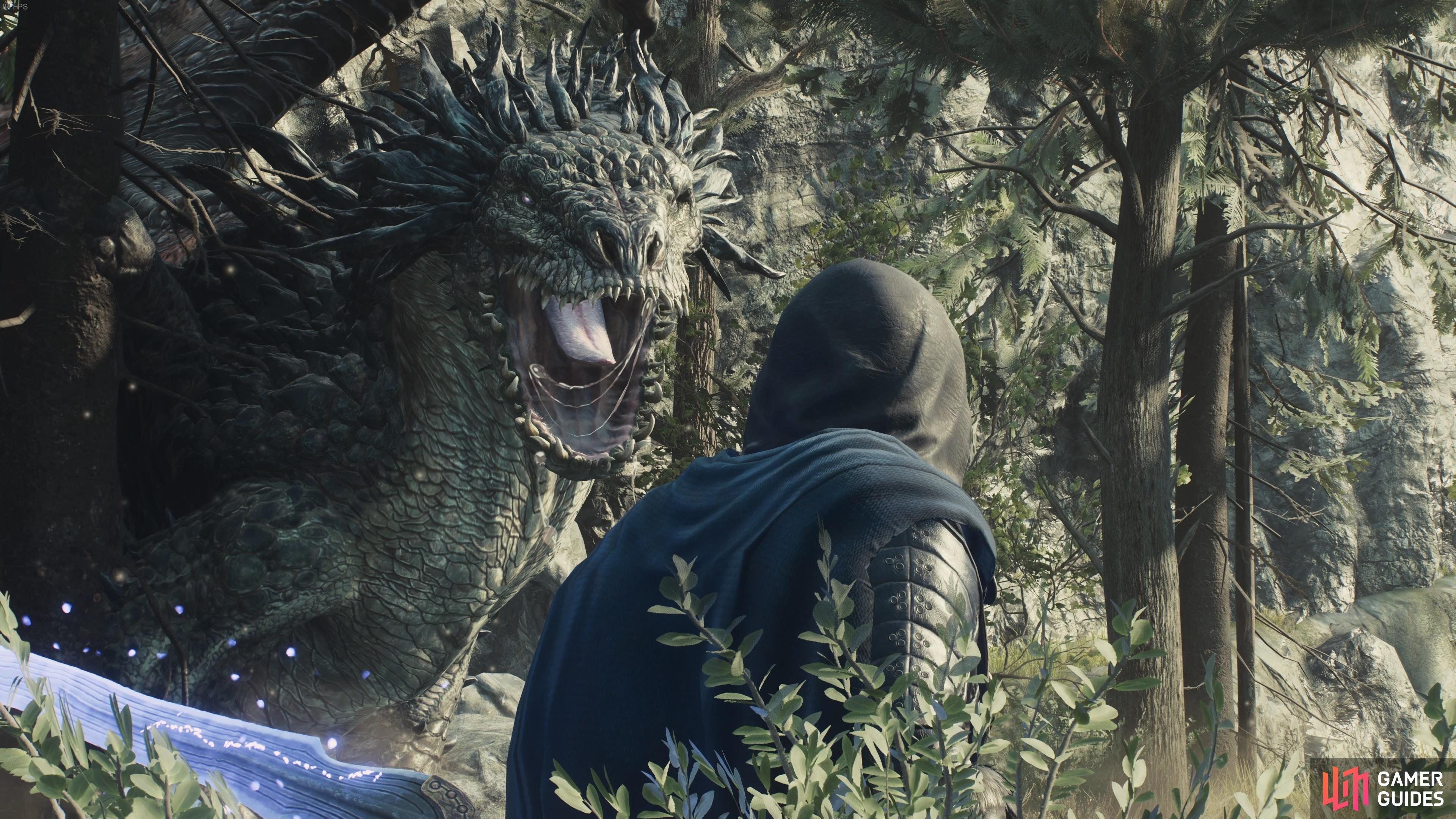 Drakes are some of the toughest enemies in Dragon’s Dogma 2.