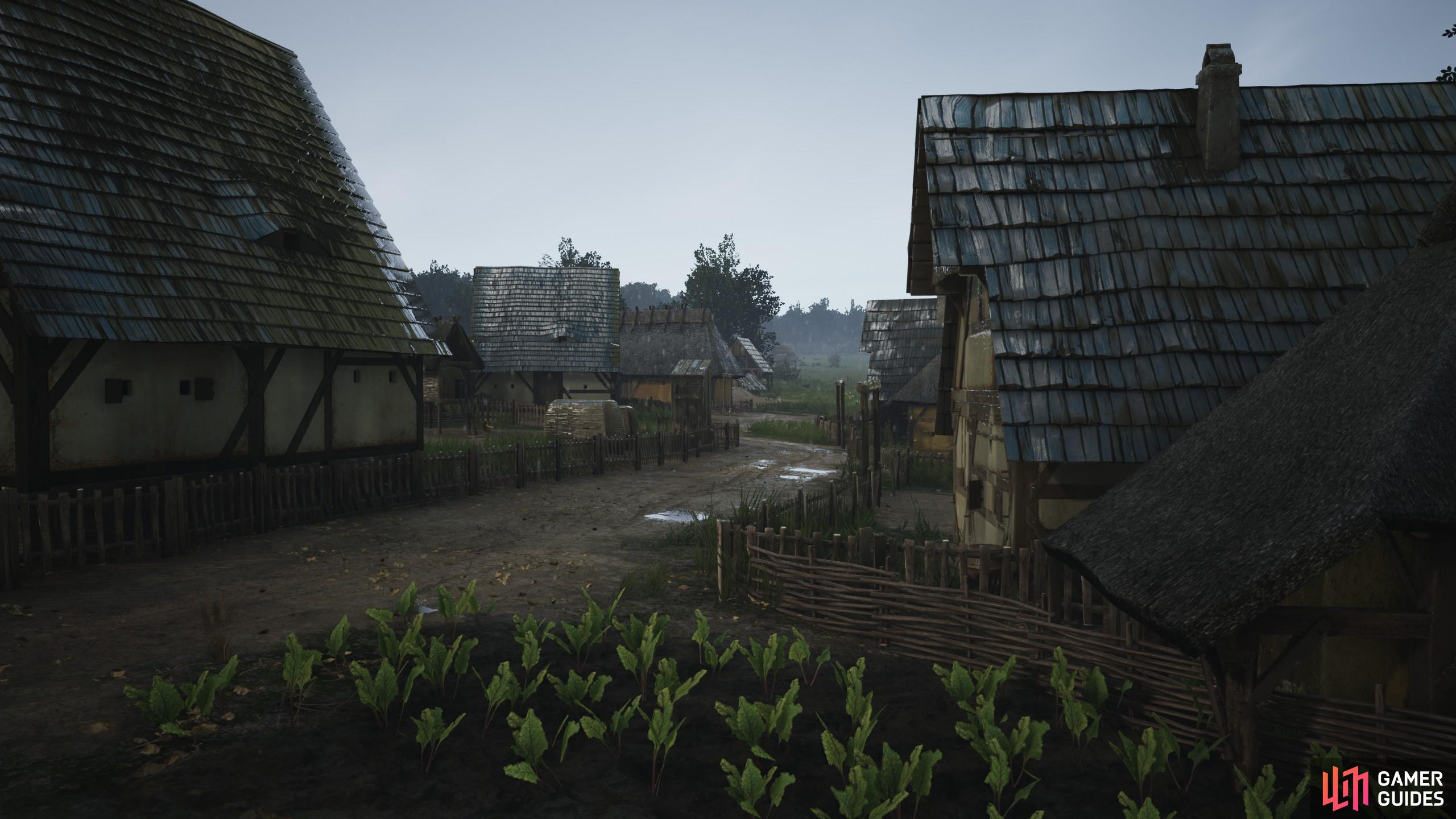 Here is everything you need to know to create Burgage Plots in Manor Lords.