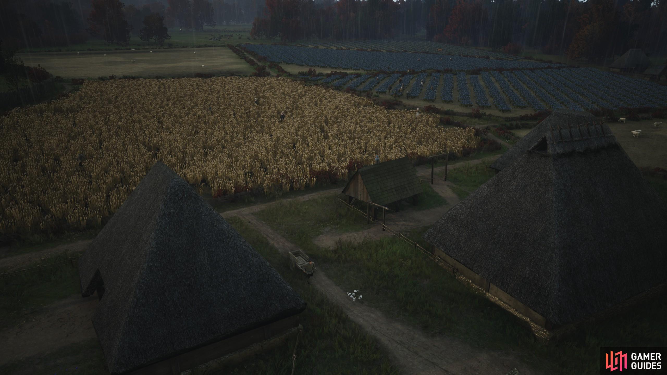 This guide teaches you everything you need to know about farming in Manor Lords and the entire farming system in place.