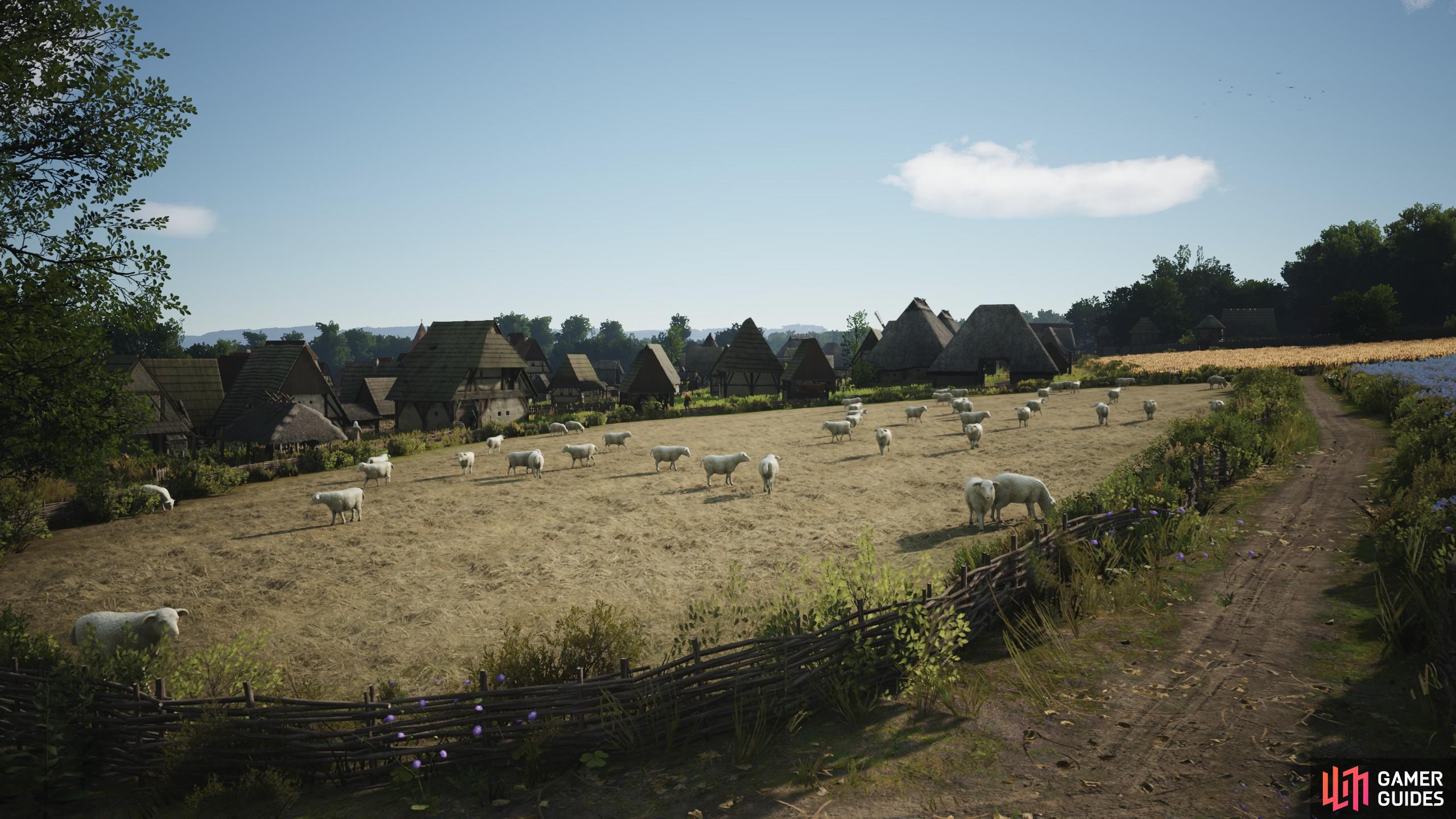 Here are all the benefits of making a sheep farming strategy in Manor Lords.